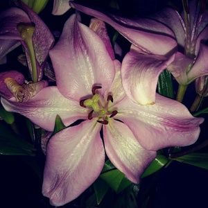 Meet your Posher, Vicki